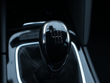 Opel Insignia I Hatchback Facelifting 2.0 CDTI Ecotec 170KM 2017 Opel Insignia 2.0 CDTI, 167 KM, Skóra, Navi, zdjęcie 17