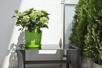 5 Ламельная подставка - 19,7 см - доступна в 14 цветах