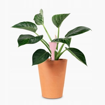 Диспенсер для воды ирригатора для растений и цветов с 10-кратным поливочным краном