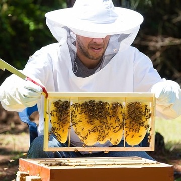 ТОЛСТОВКА ДЛЯ ПЧЕЛОВОДСТВА С ШАПКОЙ, КУРТКА С ДЛИННЫМИ РУКАВАМИ, ДЫШАЩАЯ, БЕЛАЯ.