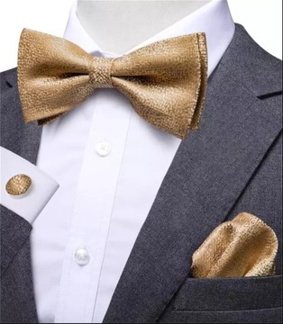 Elegancki zestaw Mucha Poszetka Spinki wys24