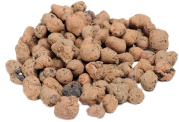 ЛЕС В СТЕКЛЯННОЙ БАНКЕ СТАРТОВЫЙ НАБОР ПОДСУБСТРАТ 7 шт.