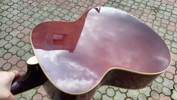 J&D GITARS F-10 NL АКУСТИЧЕСКАЯ ГИТАРА С КОРПУСОМ