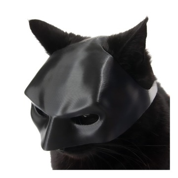 MASKA DLA KOTA BATMAN VIRAL TIKTOK PRZEBRANIE STRÓJ BAT-CAT _ satynowa