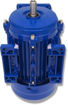 ЭЛЕКТРОДВИГАТЕЛЬ 0,55 кВт 230/400 В 1390 об/мин, 3-ФАЗНЫЙ