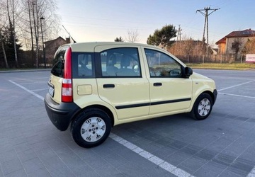 Fiat Panda II Hatchback 5d 1.1 MPI 54KM 2010 Fiat Panda Fiat Panda 1.1 Active, zdjęcie 20