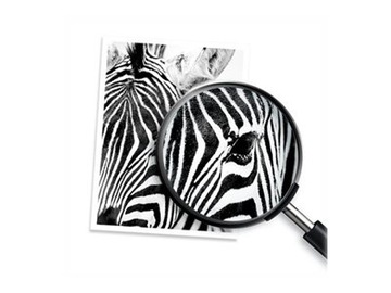 Черные чернила HP 953 L0S58AE