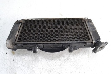 Радиатор YAMAHA TDM 900