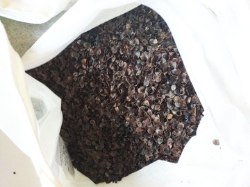 Лечебная подушка с гречневой лузгой 40х60 хлопок