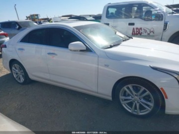 Cadillac 2020 Cadillac CT4 Luxury 2020 2.0 Benzyna 237KM, zdjęcie 6