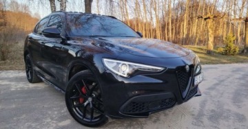 Alfa Romeo Stelvio SUV Facelifting 2.0 Turbo 280KM 2020 Alfa Romeo Stelvio Alfa Romeo Stelvio 2.0 Turbo Veloce Q4 2.0 Benzyna 280KM