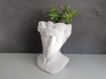 Крышка Цезаря Голова Цветочный Горшок Украшение Чаша ПОДАРОК