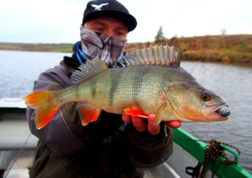 Mikado Saira Drop Shot 14 см 348 Ласточка