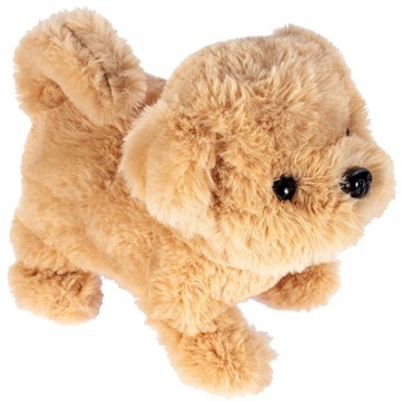 ЩЕНОК, ПЛЮШ ИНТЕРАКТИВ, ПРОГУЛКИ, БАКС, ТАЛИСМАН, БАТАРЕЯ