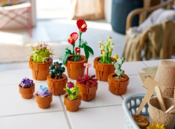 НАБОР LEGO ICONS НА ДЕНЬ СВЯТОГО ВАЛЕНТИНА ЦВЕТЫ ПОДАРОК ​​МАЛЕНЬКИЕ РАСТЕНИЯ 10329 + 10311