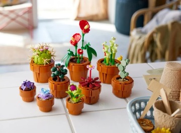 LEGO ICONS ZESTAW WALENTYNKOWY KWIATY PREZENT MAŁE ROŚLINKI 10329 + 40460