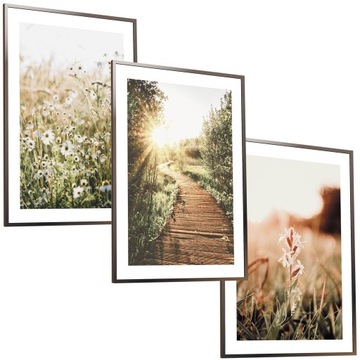 30x40 ZESTAW OBRAZY W RAMIE PLAKATY RAMKA PAMPAS TRAWA NATURA ŁĄKA BOHO