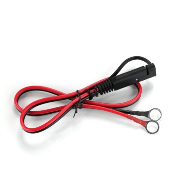 Выпрямитель зарядного устройства 12В 24В everActive CBC-10 v2 СТАРТ СТОП МОЩНЫЙ И БЫСТРЫЙ