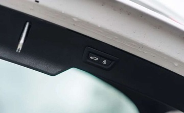 BMW X6 F16 Crossover xDrive 40d 313KM 2017 BMW X6 BMW X6 xDrive40d M Sport 3.0 Diesel 313KM, zdjęcie 36