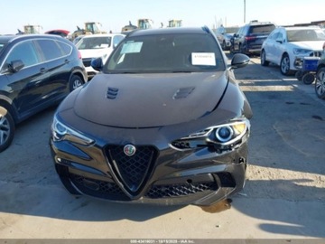 Alfa Romeo Stelvio 2022 Alfa Romeo Stelvio Quadrifoglio 2022 2.9l 2.9 Benzyna 505KM, zdjęcie 7