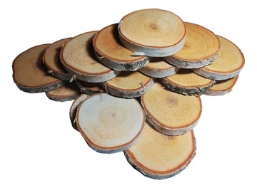 Krążki plastry drewna Brzoza 7-9cm wilgotne x100