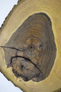 Доска Patera Slice 46x42Gr6 Орехового дерева