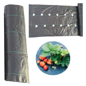 Agrotkanina z OTWORAMI pod TRUSKAWKI 80 cm x 10 m gramatura 90 g/m2 Mocna