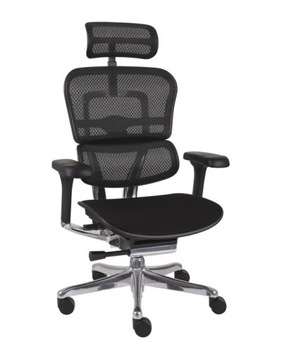 Ergonomiczny fotel biurowy obrotowy Ergohuman 2 Elite tkanina Czarny