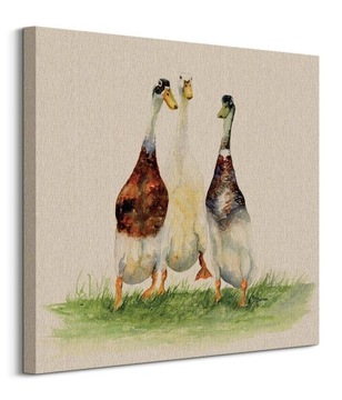 Jane Bannon Trzy Gęsi Obraz na płótnie 60x60 cm