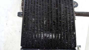 Yamaha Fazer FZS 600 98-03 Вентилятор радиатора
