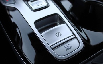 Hyundai Tucson IV 2021 Hyundai Tucson Salon Polska, HEV, Amazon Grey, 230KM, Executive 1.6 Hybryda, zdjęcie 18