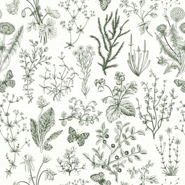 TAPETA ŁĄKA ZIELNIK ZIOŁA BOTANICZNA 5309al