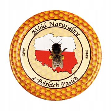 Zestaw 10 Zakrętek nakrętki wieczko wieczka na butelki słoje słoiki fi 82mm