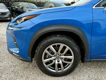Lexus NX I 2020 Lexus NX 300h,Hybryda,4x4,Europa, zdjęcie 38