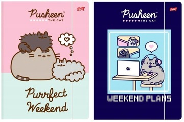 2x Teczka rysunkowa A4 z gumką PUSHEEN Kot Kotek ( PUSZIN