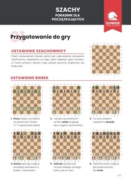 Электронные шахматные часы DGT 2010 (ФИДЕ) Турнир ПРОФЕССИОНАЛ сильный