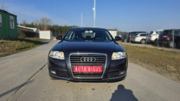 Audi A6 C6 Limousine 2.0 TFSI 170KM 2010 Audi A6 Limousine Navi, zdjęcie 1