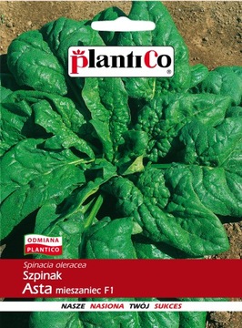 Szpinak Asta 500g Jednoroczny Wczesny Nasiona