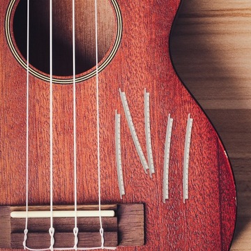 PROFESJONALNA Gitara KLASYCZNA
