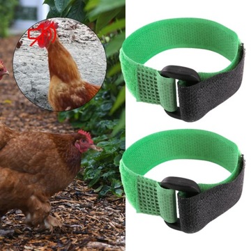 2x шейный ободок с курицей и петушком, анти-зеленый1