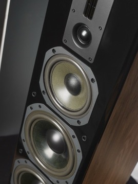 DYNAVOICE DF-8 ШВЕДСКОЕ ОБЛУЧЕНИЕ ЗВУКА, ВЫДАЮЩЕЕ КАЧЕСТВО И МОЩНЫЙ ЗВУК