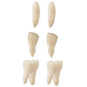 МОДЕЛЬ 501 SKELETON SKELETON 181,5 см FV В РАССРОЧКУ