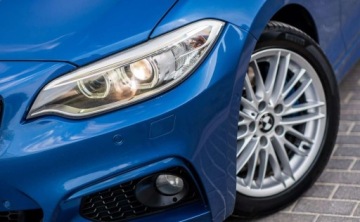 BMW Seria 2 F22-F23-F45-F46 Coupe 220d 184KM 2013 BMW Seria 2 BMW Seria 2 2.0 Diesel 184KM, zdjęcie 10