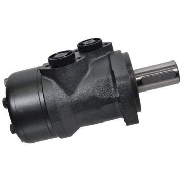 Silnik hydrauliczny orbitalny BMR160 SMR160 FI-32m