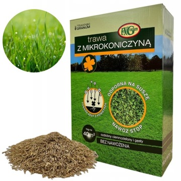 TRAWA NASIONA 1 KG TRAWA Z MIKROKONICZYNA OZDOBNA ODPORNA NA SUSZĘ 40m²