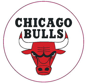 CHICAGO BULLS _ naklejka 5cm _ DRUK KOLOR