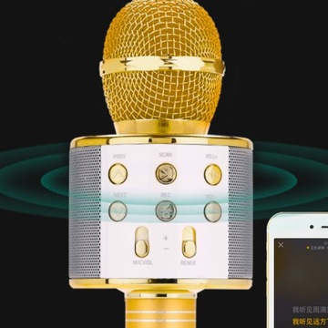 БЕСПРОВОДНОЙ ДЕТСКИЙ МИКРОФОН КАРАОКЕ С BLUETOOTH ДИНАМИКАМИ