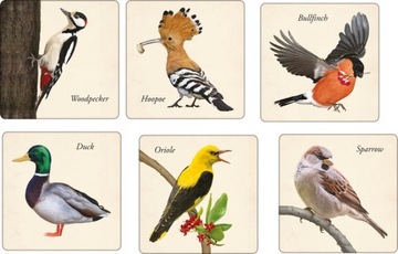 Памятки Птицы - игра на память - Адамиго - KD