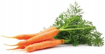 МОРКОВНОЕ МАСЛО морковь-каротин для загара 100мл