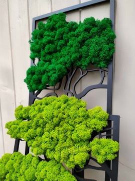 Дерево с мхом хроботек 40 НЕВЕСТА ПАРА спасибо свадебный мох хроботек